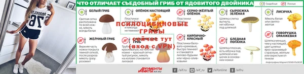 сатива Пролетарск
