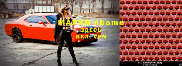 сатива Пролетарск