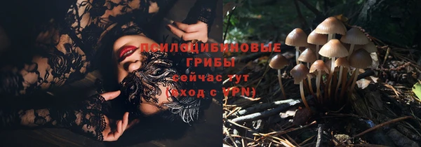 наркотики Протвино