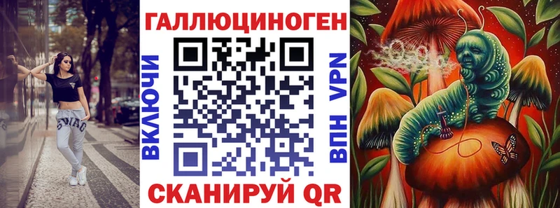 как найти наркотики  Дзержинский  Галлюциногенные грибы Cubensis 